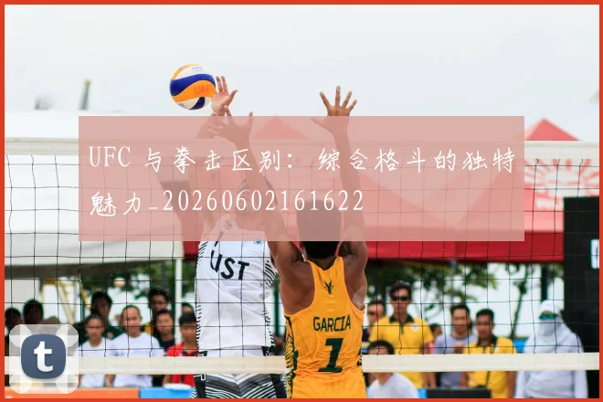 UFC 与拳击区别:综合格斗的独特魅力_20260602161622