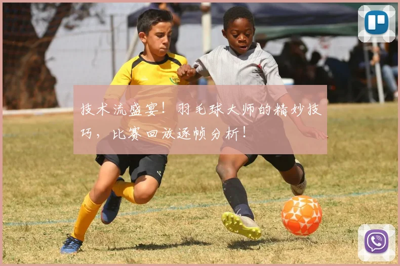 技术流盛宴!羽毛球大师的精妙技巧,比赛回放逐帧分析!