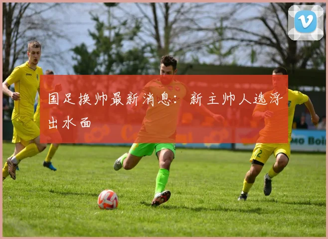 国足换帅最新消息：新主帅人选浮出水面