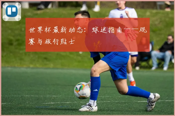 世界杯最新动态:球迷指南——观赛与旅行贴士
