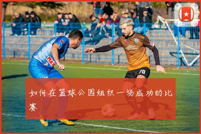 如何在篮球公园组织一场成功的比赛